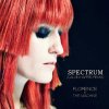 Florence + the Machine - Spectrum (Calvin Harris Remix)