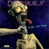 Dinosaur Jr. - Feel the pain